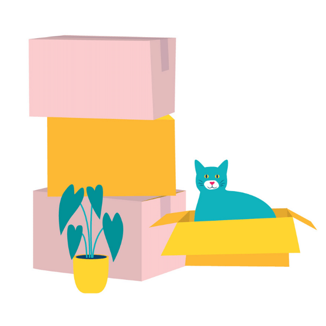 An illustration of the Conveyancing Hunter Valley - Oliver & Co. Conveyancing turquoise cat in an empty box with other empty boxes piled beside it.