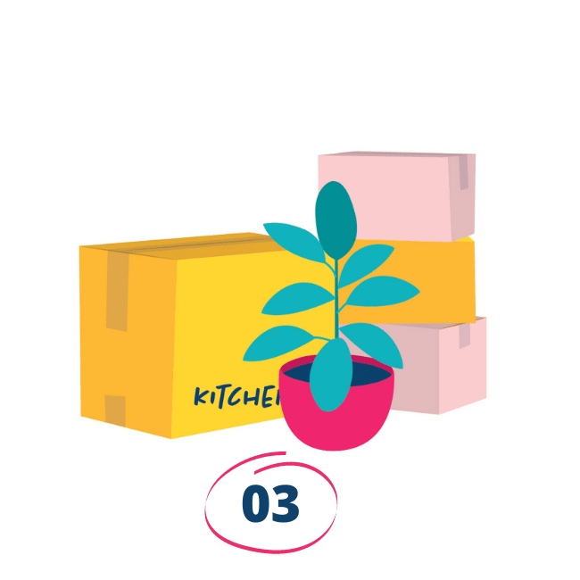 An illustration of moving boxes with a pot plant in front of it at Oliver & Co. Conveyancing